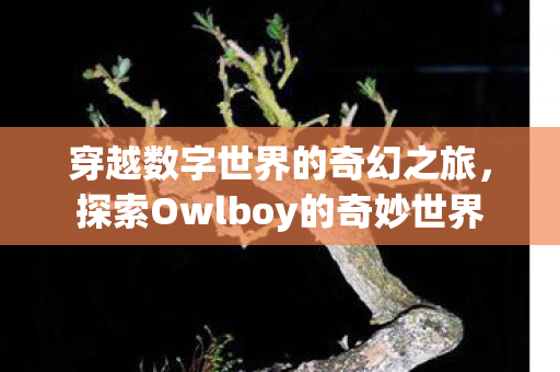 穿越数字世界的奇幻之旅，探索Owlboy的奇妙世界