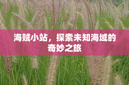 海贼小站，探索未知海域的奇妙之旅