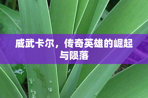 威武卡尔，传奇英雄的崛起与陨落