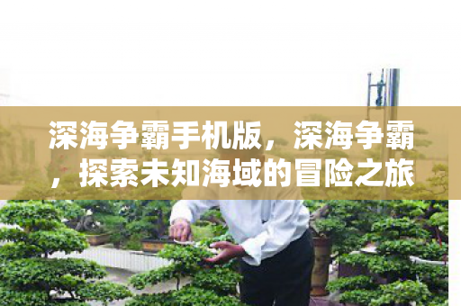 深海争霸手机版，深海争霸，探索未知海域的冒险之旅