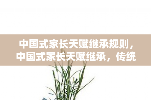 中国式家长天赋继承规则，中国式家长天赋继承，传统与现代的碰撞与融合