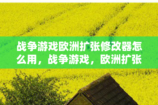 战争游戏欧洲扩张修改器怎么用，战争游戏，欧洲扩张——解锁无限可能的修改器