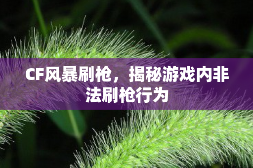 CF风暴刷枪，揭秘游戏内非法刷枪行为
