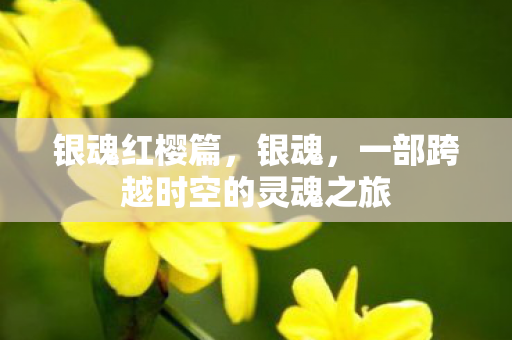 银魂红樱篇，银魂，一部跨越时空的灵魂之旅