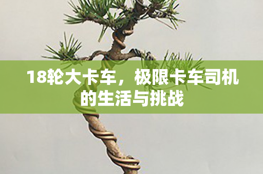 18轮大卡车，极限卡车司机的生活与挑战