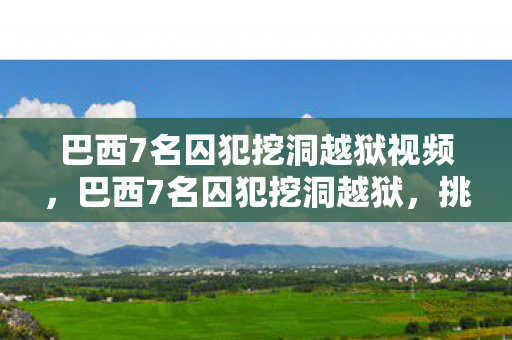 巴西7名囚犯挖洞越狱视频，巴西7名囚犯挖洞越狱，挑战法律与自由的边界