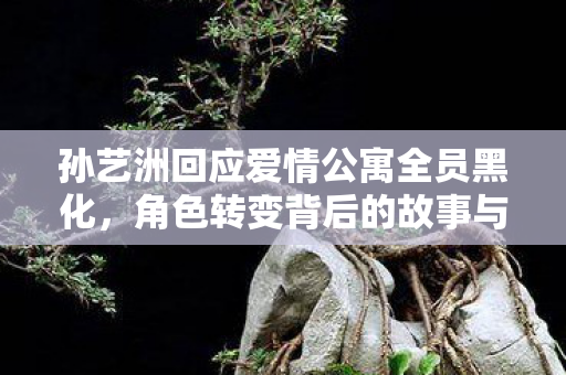 孙艺洲回应爱情公寓全员黑化，角色转变背后的故事与意义
