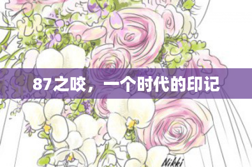 87之咬，一个时代的印记