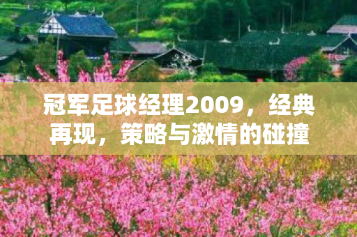 冠军足球经理2009，经典再现，策略与激情的碰撞