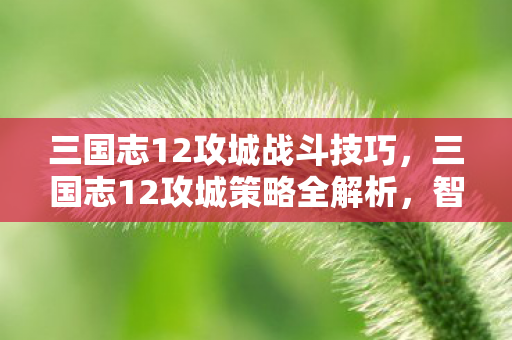 三国志12攻城战斗技巧，三国志12攻城策略全解析，智谋与勇力的较量