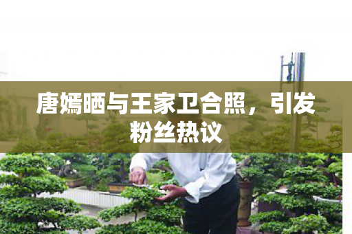 唐嫣晒与王家卫合照，引发粉丝热议