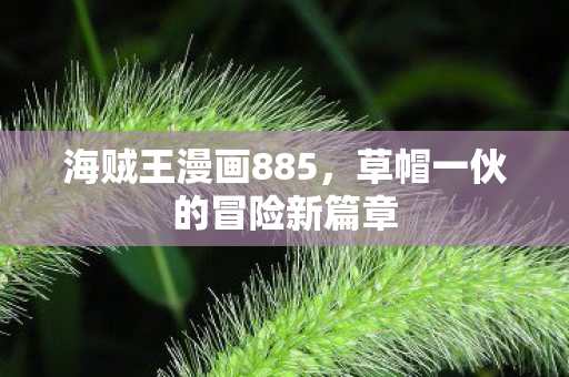 海贼王漫画885，草帽一伙的冒险新篇章