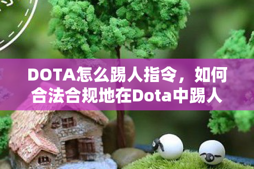 DOTA怎么踢人指令，如何合法合规地在Dota中踢人