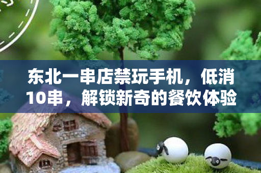 东北一串店禁玩手机，低消10串，解锁新奇的餐饮体验