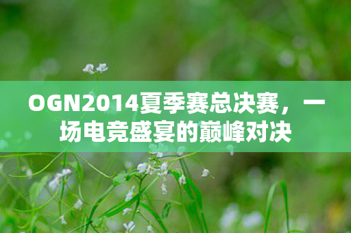 OGN2014夏季赛总决赛，一场电竞盛宴的巅峰对决