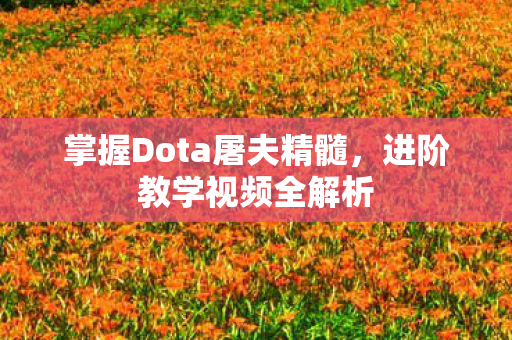 掌握Dota屠夫精髓，进阶教学视频全解析