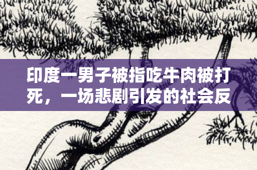 印度一男子被指吃牛肉被打死，一场悲剧引发的社会反思