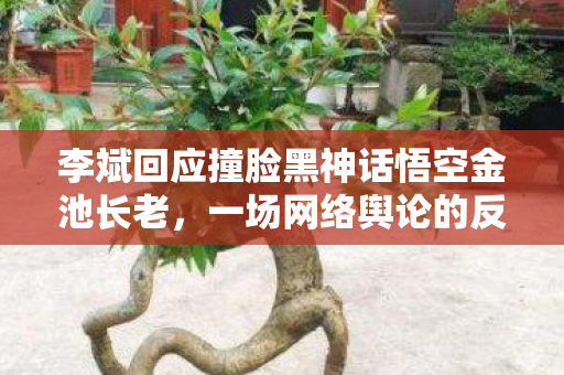 李斌回应撞脸黑神话悟空金池长老，一场网络舆论的反思