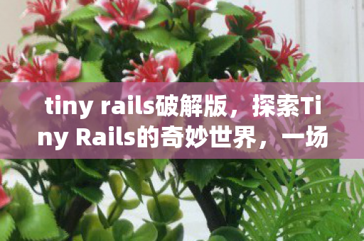 tiny rails破解版，探索Tiny Rails的奇妙世界，一场温馨而富有创意的火车之旅
