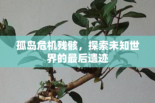 孤岛危机残骸，探索未知世界的最后遗迹