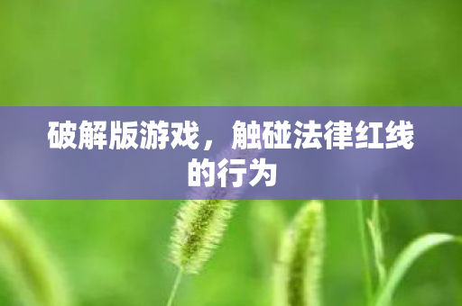 破解版游戏，触碰法律红线的行为