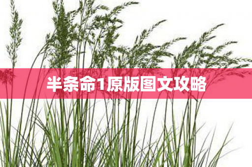 半条命1原版图文攻略
