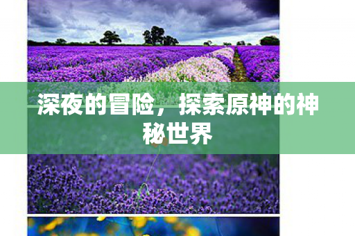 深夜的冒险，探索原神的神秘世界