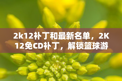 2k12补丁和最新名单，2K12免CD补丁，解锁篮球游戏新体验