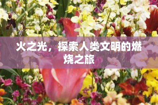 火之光,探索人类文明的燃烧之旅 火之光,探索人类文明的燃烧之旅