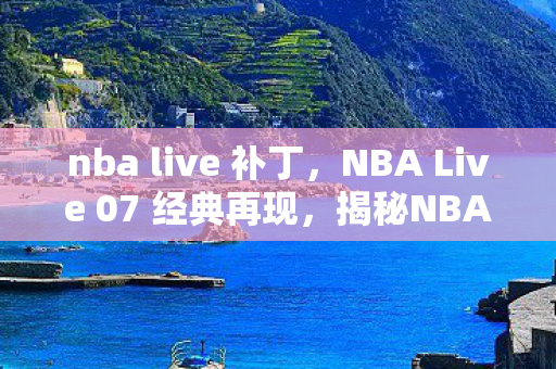 nba live 补丁，NBA Live 07 经典再现，揭秘NBALIVE07补丁的神奇之处