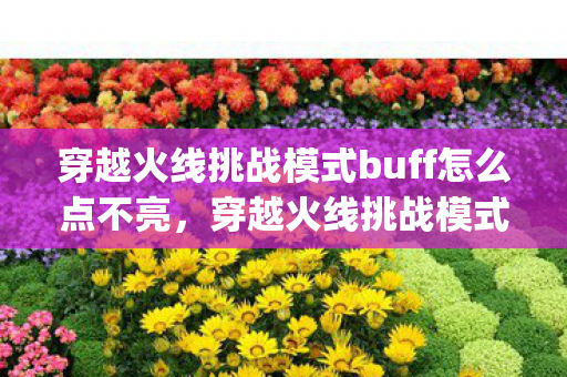 穿越火线挑战模式buff怎么点不亮,穿越火线挑战模式bug大揭秘,如何避免和解决常见问题 穿越火线挑战模式buff怎么点不亮,穿越火线挑战模式bug大揭秘,如何避免和解决常见问题