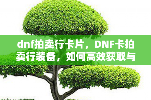 dnf拍卖行卡片，DNF卡拍卖行装备，如何高效获取与利用