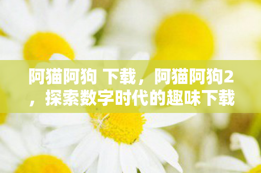 阿猫阿狗 下载，阿猫阿狗2，探索数字时代的趣味下载体验