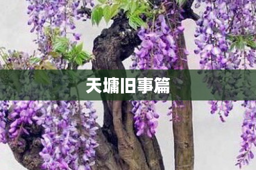 天墉旧事篇