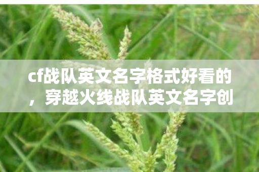 cf战队英文名字格式好看的，穿越火线战队英文名字创意指南