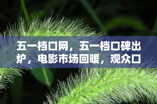 五一档口网，五一档口碑出炉，电影市场回暖，观众口碑成关键