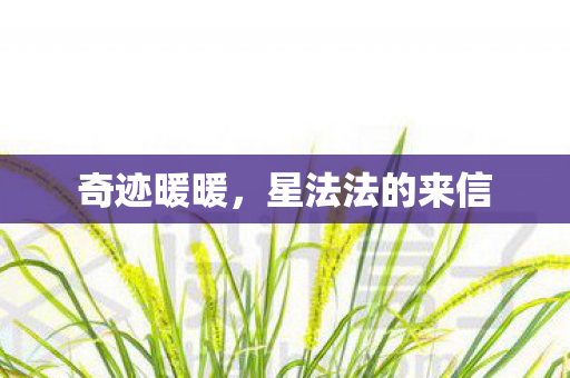 奇迹暖暖，星法法的来信