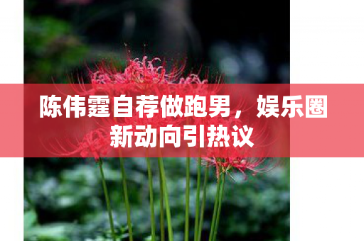 陈伟霆自荐做跑男，娱乐圈新动向引热议