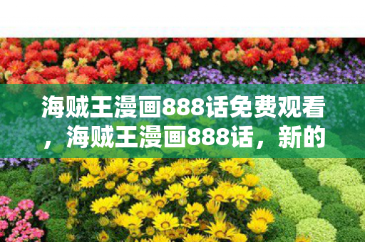 海贼王漫画888话免费观看，海贼王漫画888话，新的篇章，新的冒险