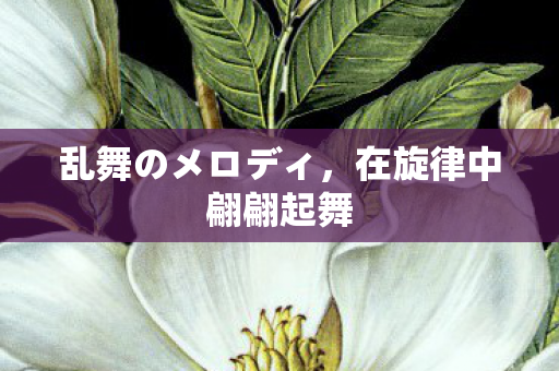 乱舞のメロディ，在旋律中翩翩起舞