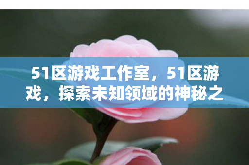 51区游戏工作室，51区游戏，探索未知领域的神秘之旅