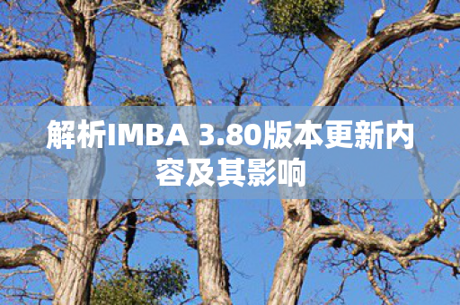解析IMBA 3.80版本更新内容及其影响