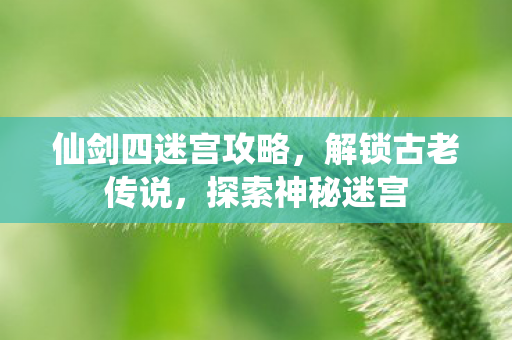 仙剑四迷宫攻略，解锁古老传说，探索神秘迷宫