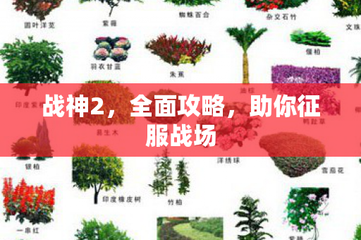 战神2，全面攻略，助你征服战场