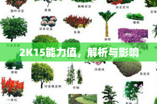 2K15能力值，解析与影响