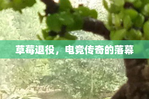 草莓退役,电竞传奇的落幕 草莓退役,电竞传奇的落幕