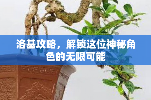 洛基攻略，解锁这位神秘角色的无限可能