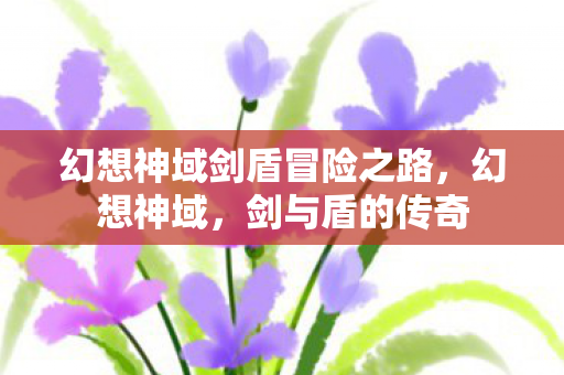 幻想神域剑盾冒险之路，幻想神域，剑与盾的传奇