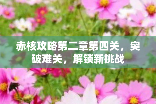 赤核攻略第二章第四关，突破难关，解锁新挑战