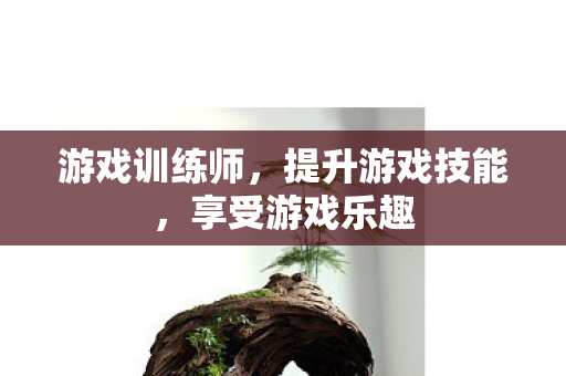 游戏训练师，提升游戏技能，享受游戏乐趣